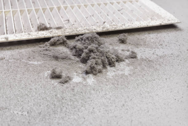 Best Air Vent Cleaning Services  in Brier, WA